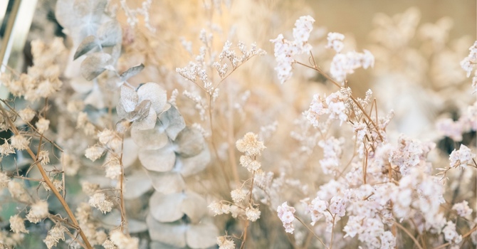 Spinal Decompression